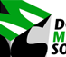 Logo pour la société DMS (logiciels médicaux)